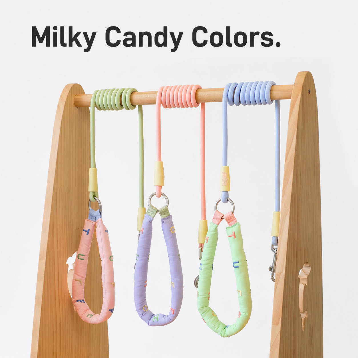 Pet Leashes, Dog Walking Leads, and Harnesses
